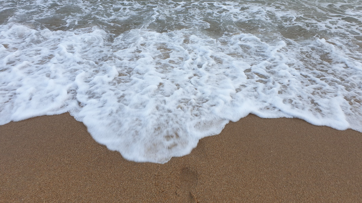 Сыпь, боль, рвота, галлюцинации: приморцев предупреждают об опасности на пляжах