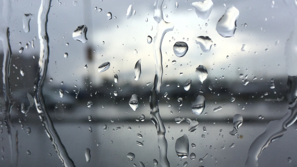 Дождь и -8°C: синоптики назвали время ухудшения погоды в Приморье
