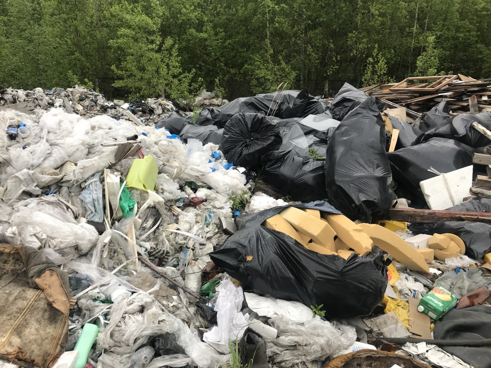 Буцаев сообщил о 44 миллиардах, необходимых для обновления мусоровозов в России