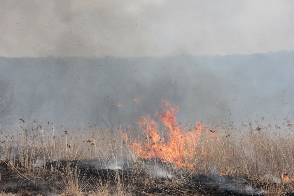 Когда в Приморье начнутся природные пожары?