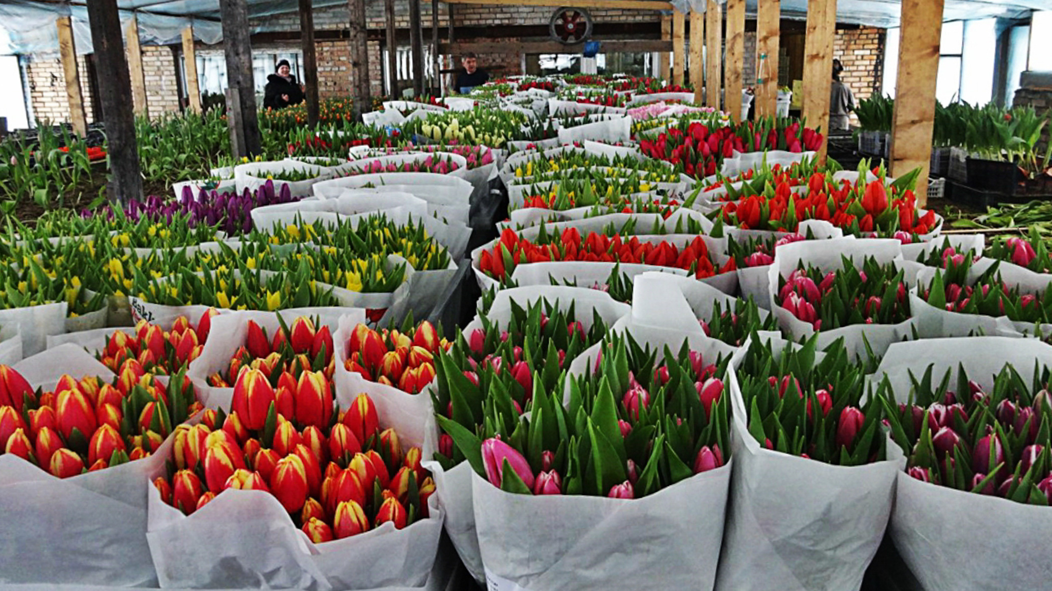 Откуда в Приморье везут цветы к 8 марта?