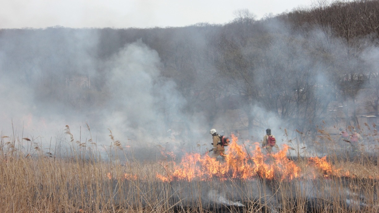 Жуткий огненный пал уничтожил 9 гектаров поля в Приморье