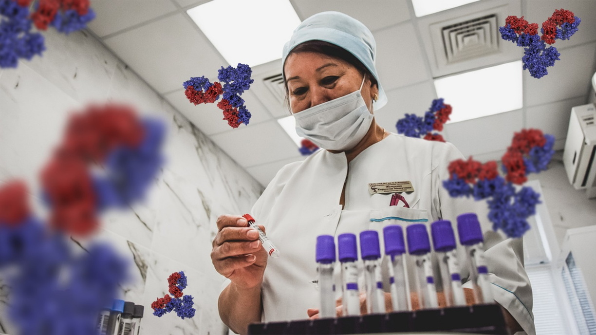 Антитело — в дело: как частные лаборатории Владивостока зарабатывают на коронавирусе