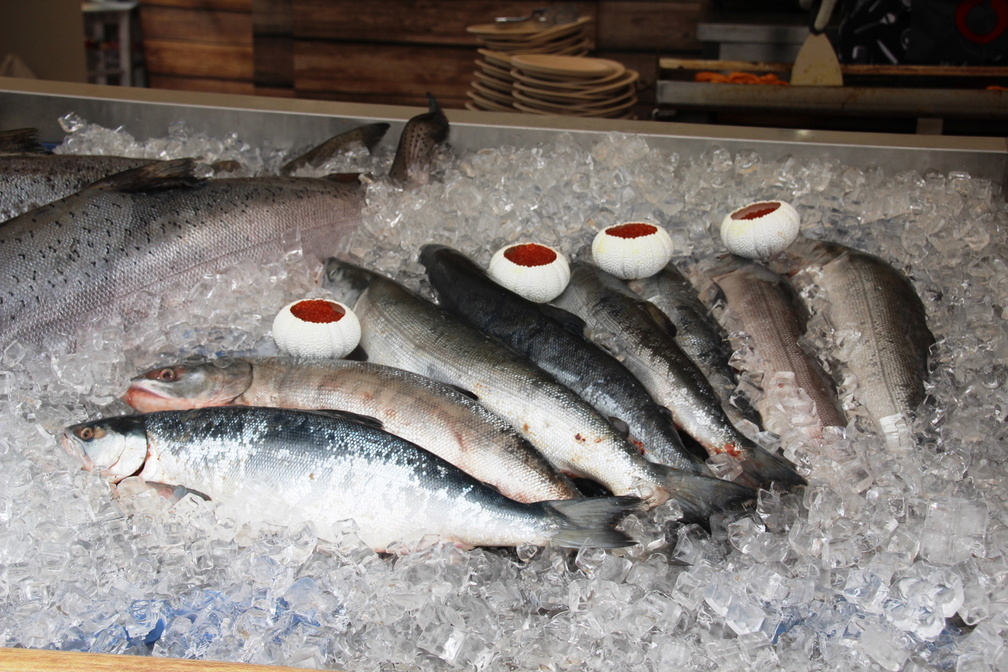 Нарастили экспорт: сколько рыбы и морепродуктов утекло с Дальнего Востока за границу?