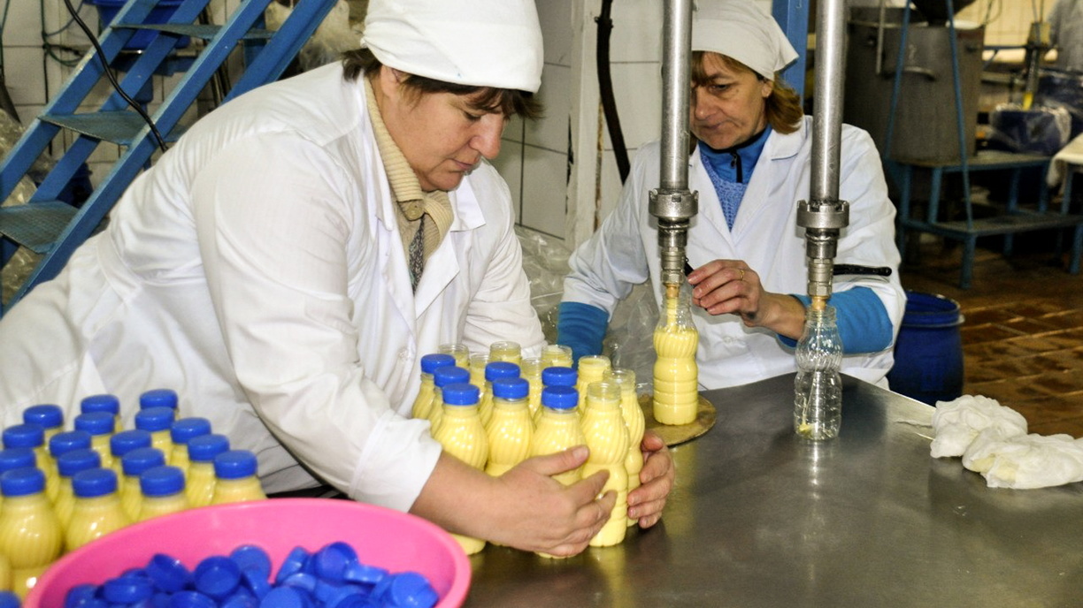 Свои кефир и масло: в Хабаровском крае активно работает программа импортозамещения 