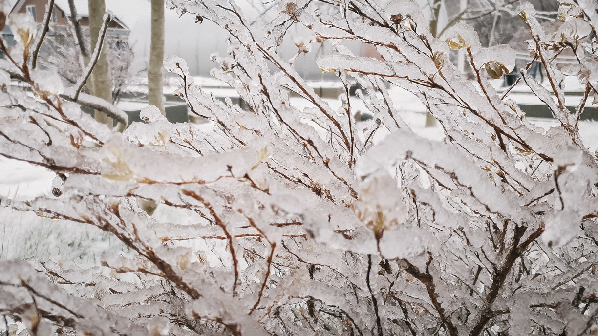 Морозы до -30: Примгидромет озвучил прогноз на неделю