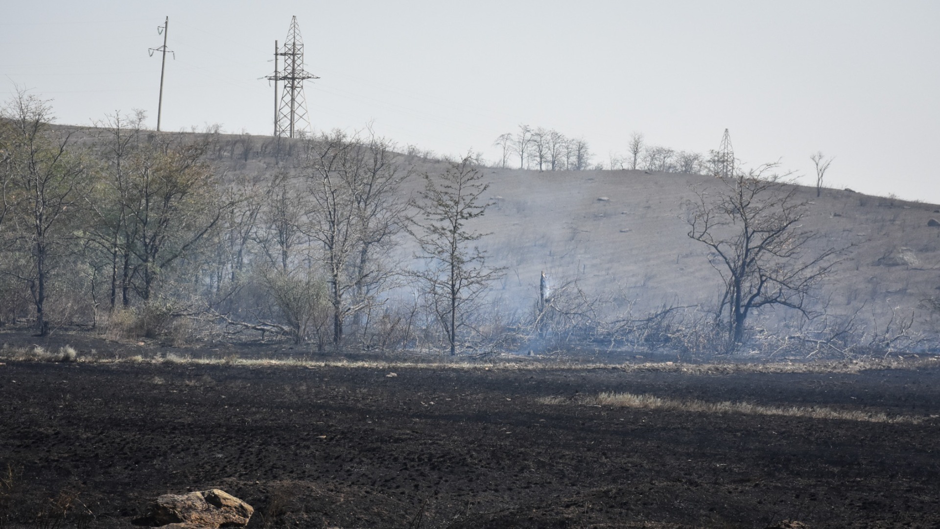 Губернатор Приморского края сообщил о тушении пожаров на юге Приморья