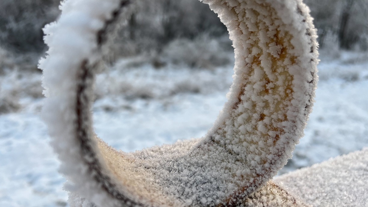 «Все машины в снежной корке»: ночные заморозки пришли в Приморье