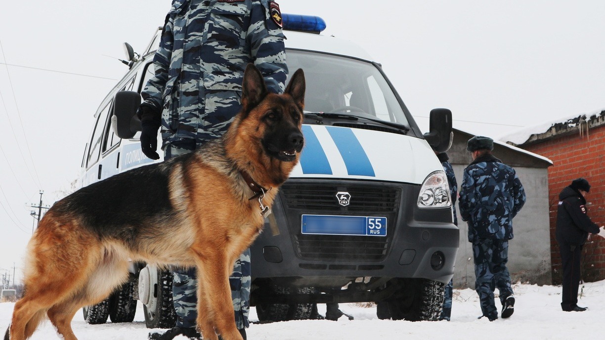 Служебная собака привела опергруппу к дому преступника в Приморском крае