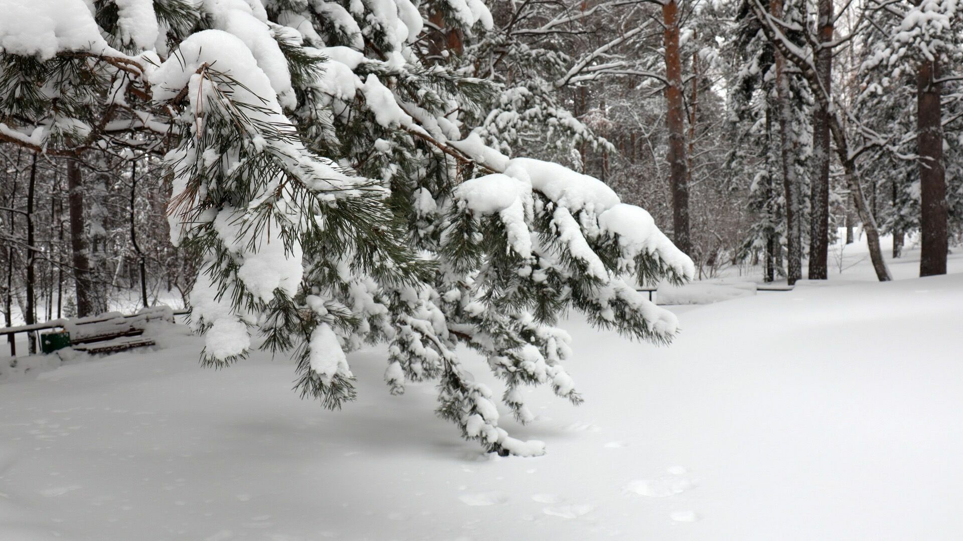Правоохранительные органы оценили исполнение уборки снега в Приморском крае