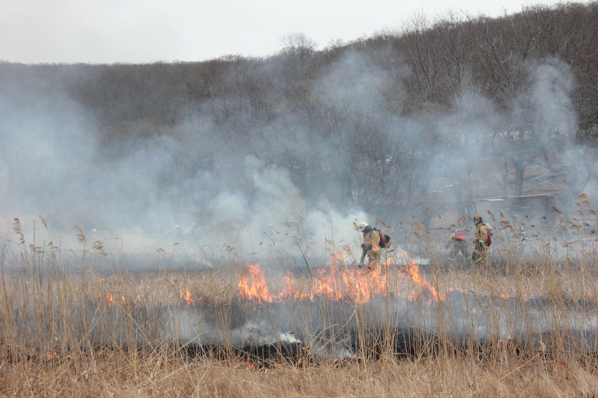 Якутия в огне: пламя уничтожило почти 300 тысяч гектаров плодородной земли