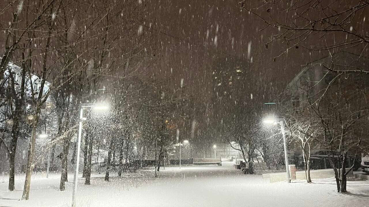 Когда закончится снежный апокалипсис в Приморье — «Маглипогода»