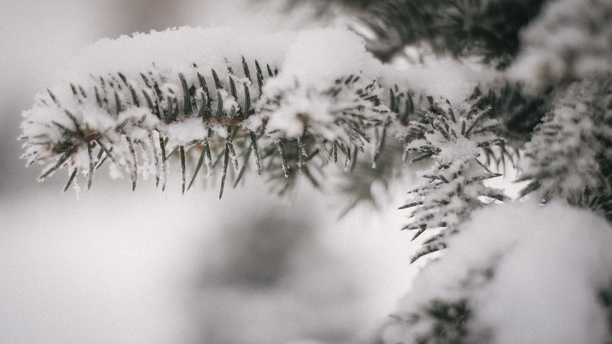 «Может начаться снег»: синоптики рассказали о погоде в пятницу в Приморье