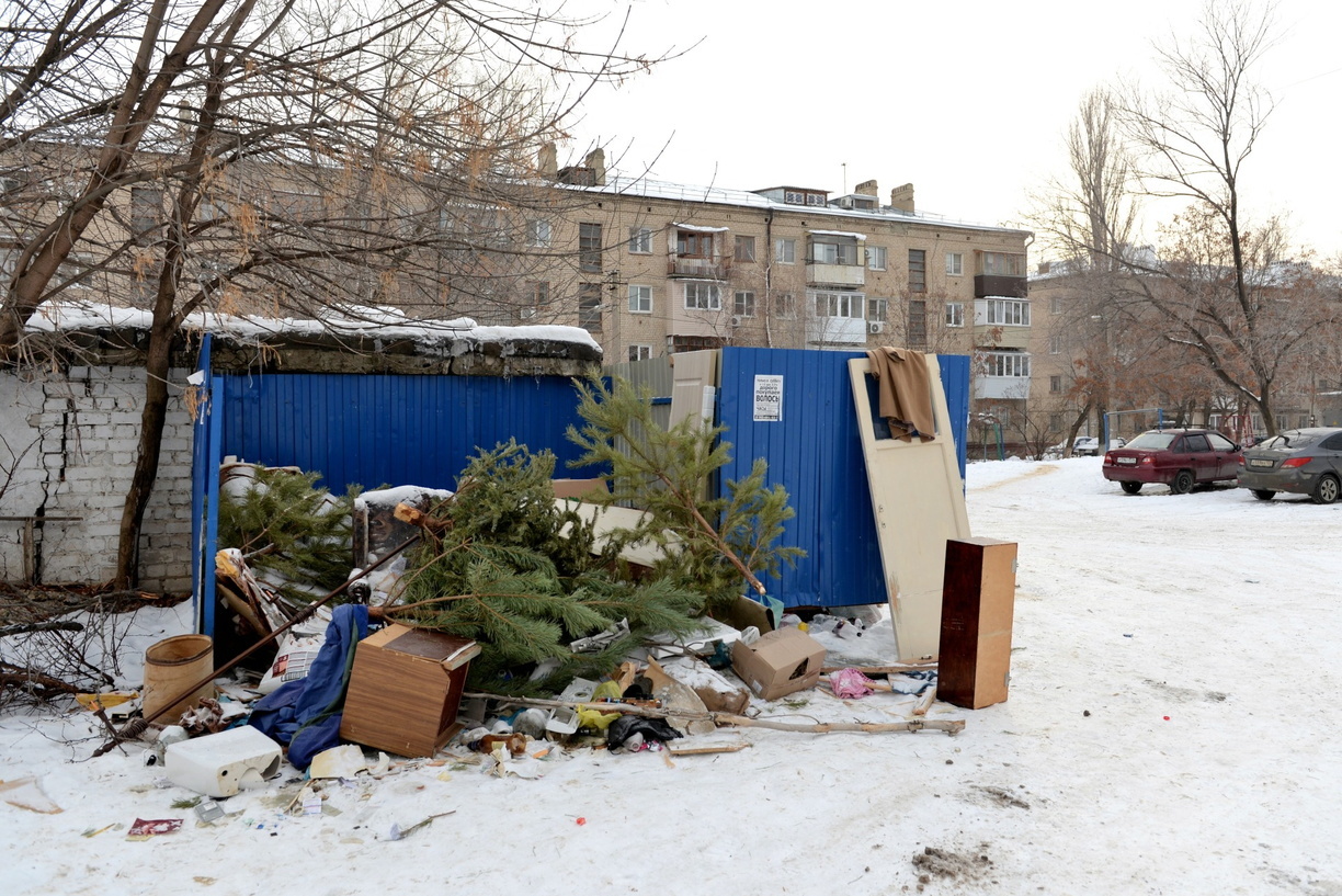В мэрии Владивостока рассказали, куда забирают «отслужившие» ёлки — памятка