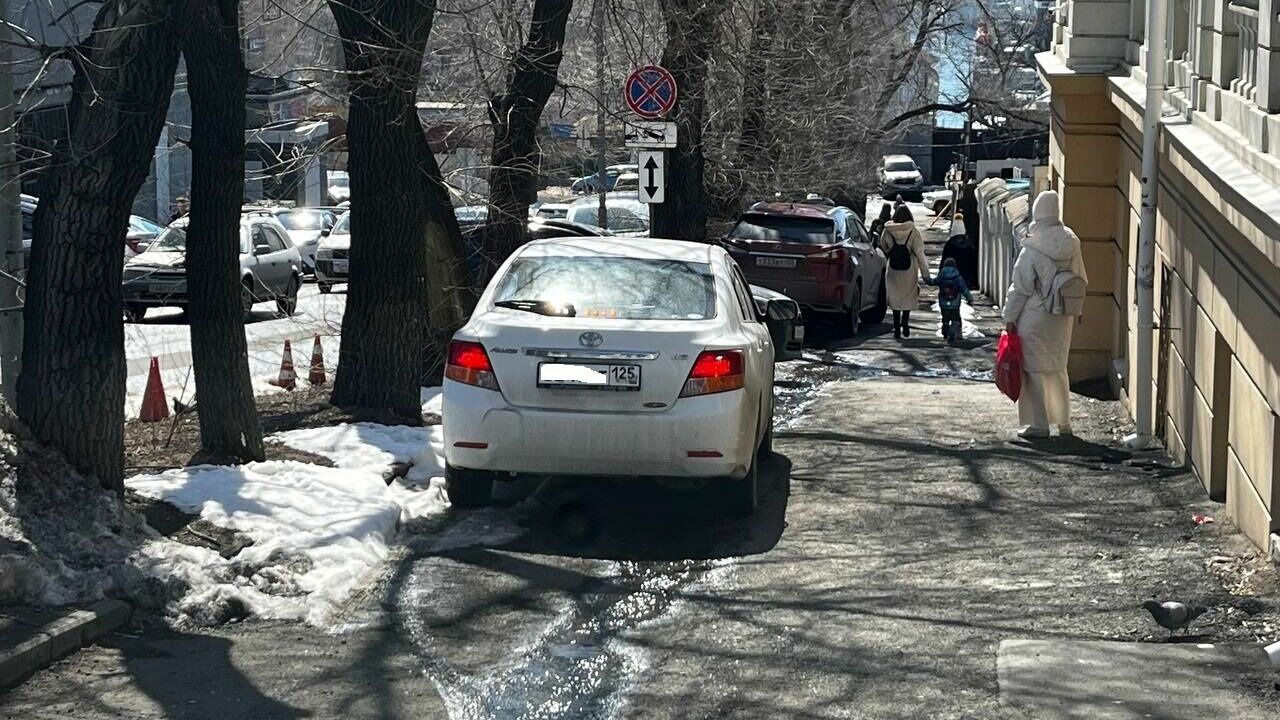 Невозмутимая автохамка поразила своей бестактностью на тротуаре во Владивостоке