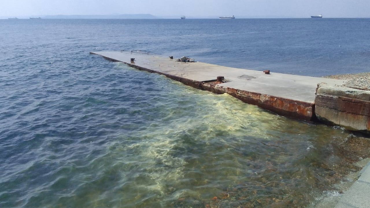 Неизвестное мутное пятно появилось в море у Владивостока
